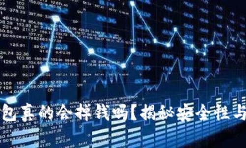 比特币钱包真的会掉钱吗？揭秘安全性与风险管理
