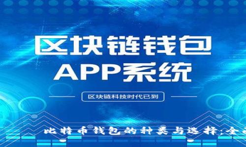 радио比特币钱包的种类与选择：全面指南