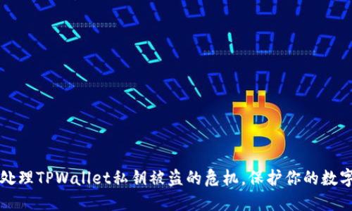 如何处理TPWallet私钥被盗的危机，保护你的数字资产