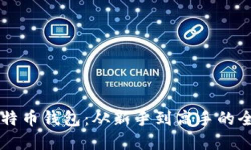 掌握比特币钱包：从新手到高手的全面指南