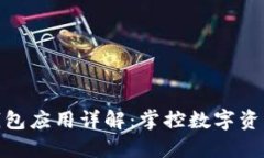 : 虚拟币钱包应用详解：掌