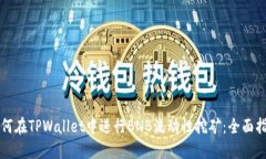 如何在TPWallet中进行BNB流动