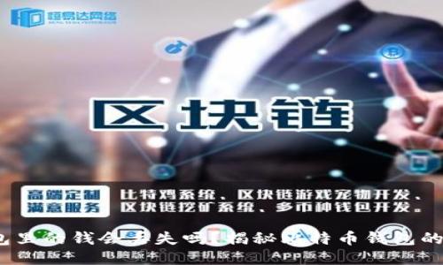  比特币钱包里的钱会丢失吗？揭秘比特币钱包的安全与风险