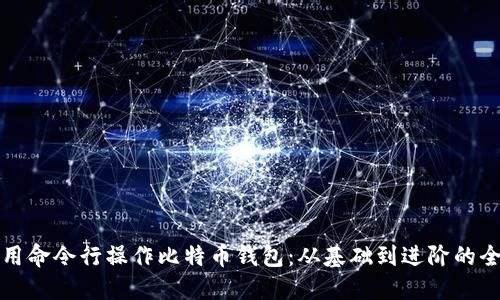如何使用命令行操作比特币钱包：从基础到进阶的全面指南