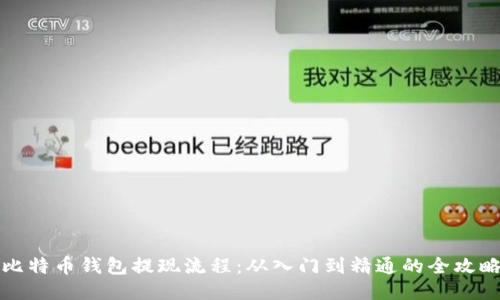 比特币钱包提现流程：从入门到精通的全攻略