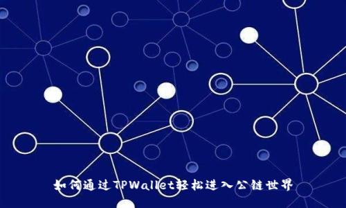 如何通过TPWallet轻松进入公链世界