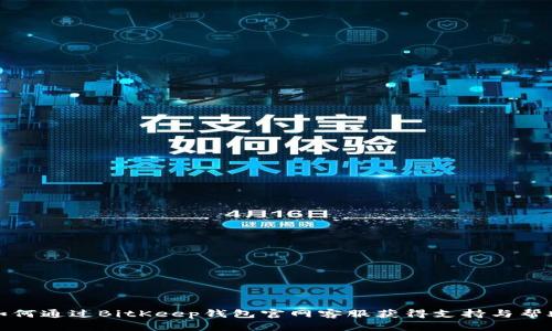 如何通过BitKeep钱包官网客服获得支持与帮助