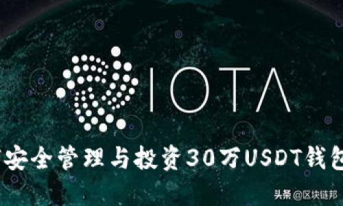  如何安全管理与投资30万USDT钱包资金