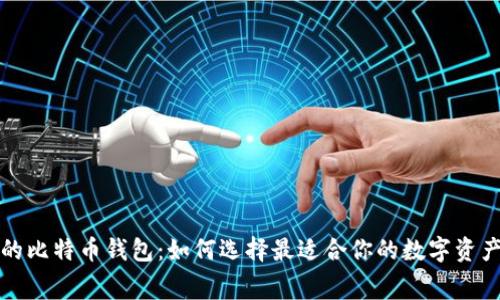 无手续费的比特币钱包：如何选择最适合你的数字资产管理工具