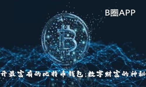 : 揭开最富有的比特币钱包：数字财富的神秘面纱