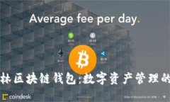 “探秘王东林区块链钱包