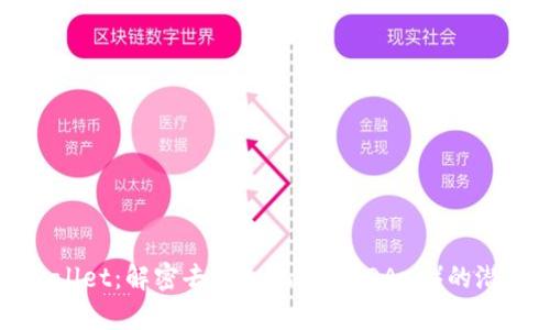 探索TPWallet：解密去中心化应用（DApp）的潜力与挑战