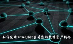 如何使用TPWallet查看您的数