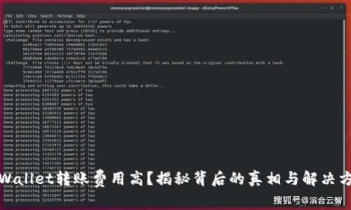 TPWallet转账费用高？揭秘背后的真相与解决方案