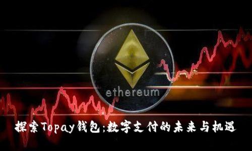 探索Topay钱包：数字支付的未来与机遇