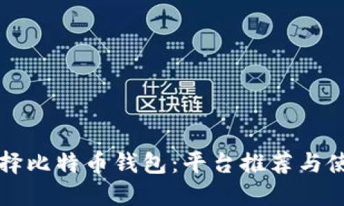 如何选择比特币钱包：平台推荐与使用指南