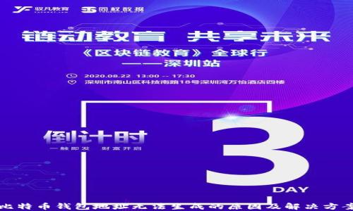 
比特币钱包地址无法生成的原因及解决方案