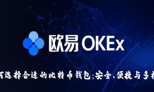 如何选择合适的比特币钱包：安全、便捷与多样性