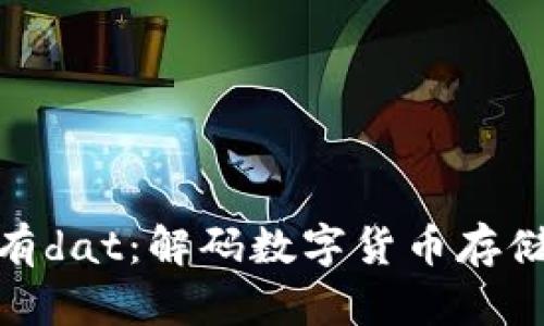 比特币钱包没有dat：解码数字货币存储的安全与便捷