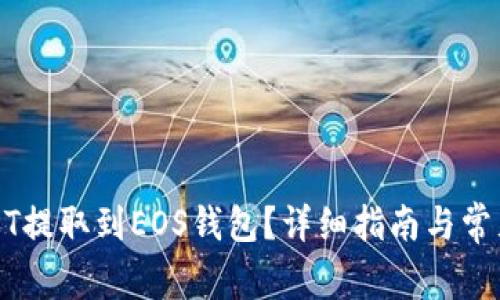 如何将USDT提取到EOS钱包？详细指南与常见问题解答
