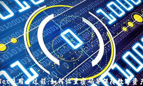 
TPWallet使用全过程：如何设置密码并保障数字资产安全？