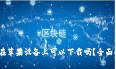 USDT钱包在苹果设备上可以
