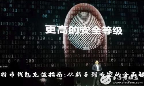 比特币钱包充值指南：从新手到专家的全面解析