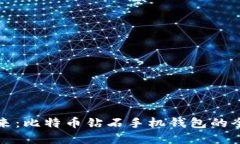 掌控未来：比特币钻石手
