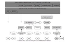: 探索 USDT 数学钱包：保护