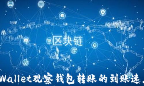 
全面解读：TPWallet观察钱包转账的到账速度与影响因素
