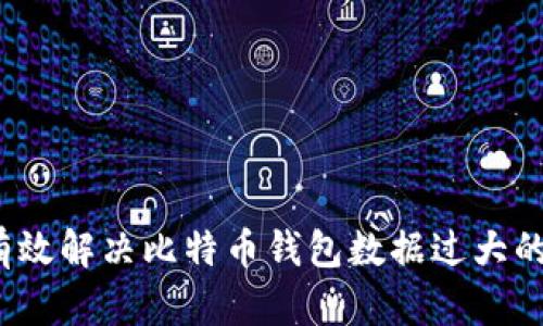 如何有效解决比特币钱包数据过大的问题？