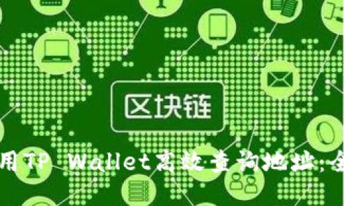 如何使用TP Wallet高效查询地址：全面指南