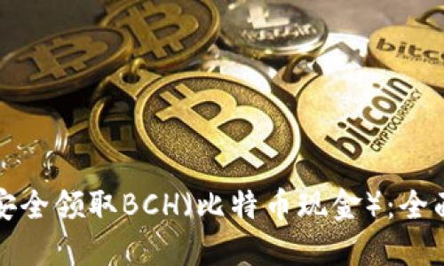 如何安全领取BCH（比特币现金）：全面指南