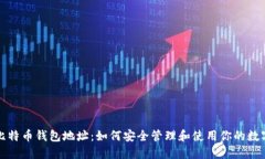 揭秘比特币钱包地址：如