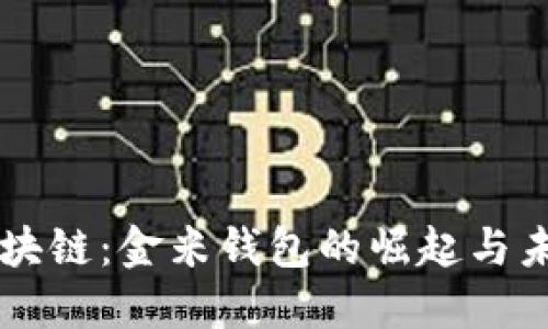 解码区块链：金米钱包的崛起与未来展望