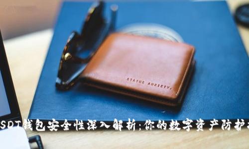 : USDT钱包安全性深入解析：你的数字资产防护指南