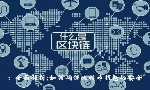 : 全面解析：如何确保比特币钱包的安全