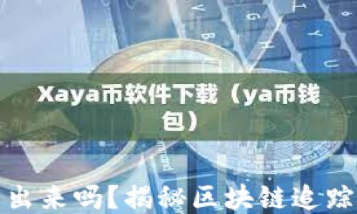 
比特币钱包被盗能查出来吗？揭秘区块链追踪技术与安全防护措施