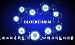 如何安全使用比特币钱包