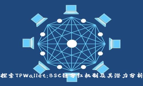 探索TPWallet：BSC链分红机制及其潜力分析