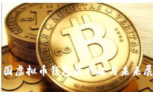 中国虚拟币钱包的兴起与未来展望