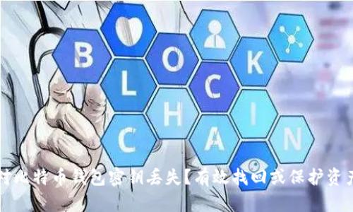 如何应对比特币钱包密钥丢失？有效找回或保护资产的方法