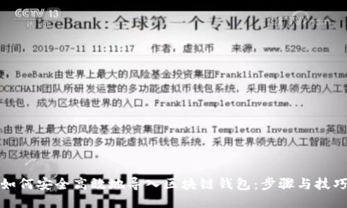 如何安全高效地导入区块链钱包：步骤与技巧