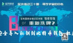 如何安全导入私钥到比特