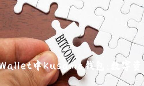  全方位解析TPWallet中Kusama钱包：数字资产新时代的捷径