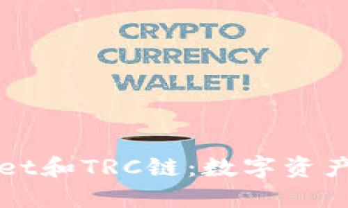探索TPWallet和TRC链：数字资产管理的未来