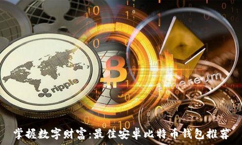   
掌握数字财富：最佳安卓比特币钱包推荐