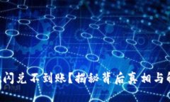 TPWallet闪兑不到账？揭秘背
