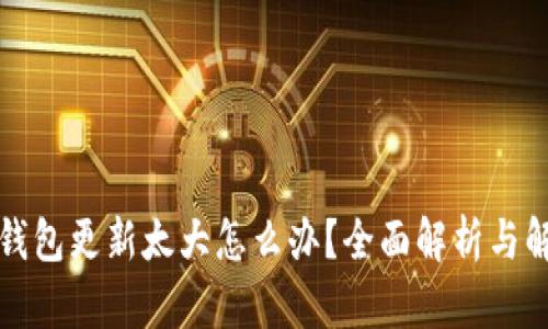 比特币钱包更新太大怎么办？全面解析与解决方案