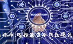保护你的比特币：选择最